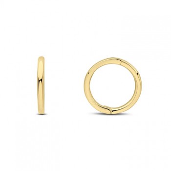 9ct Gold Hinged Sleeper Hooped 10mm Earrings