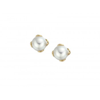9ct Yellow Gold Pearl Studs